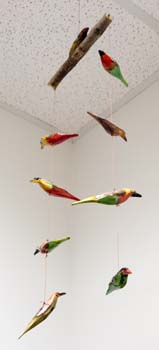 Ethiopian Birds